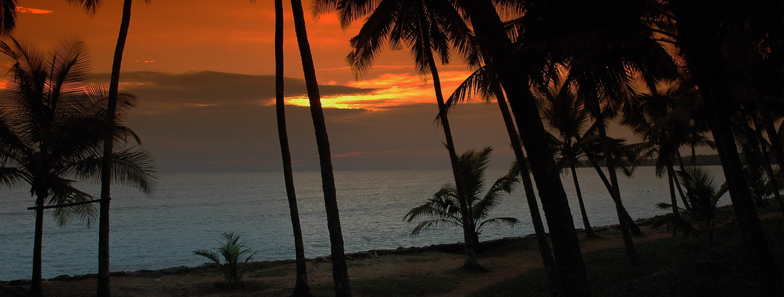 The city of Calicut (Kozhikode)